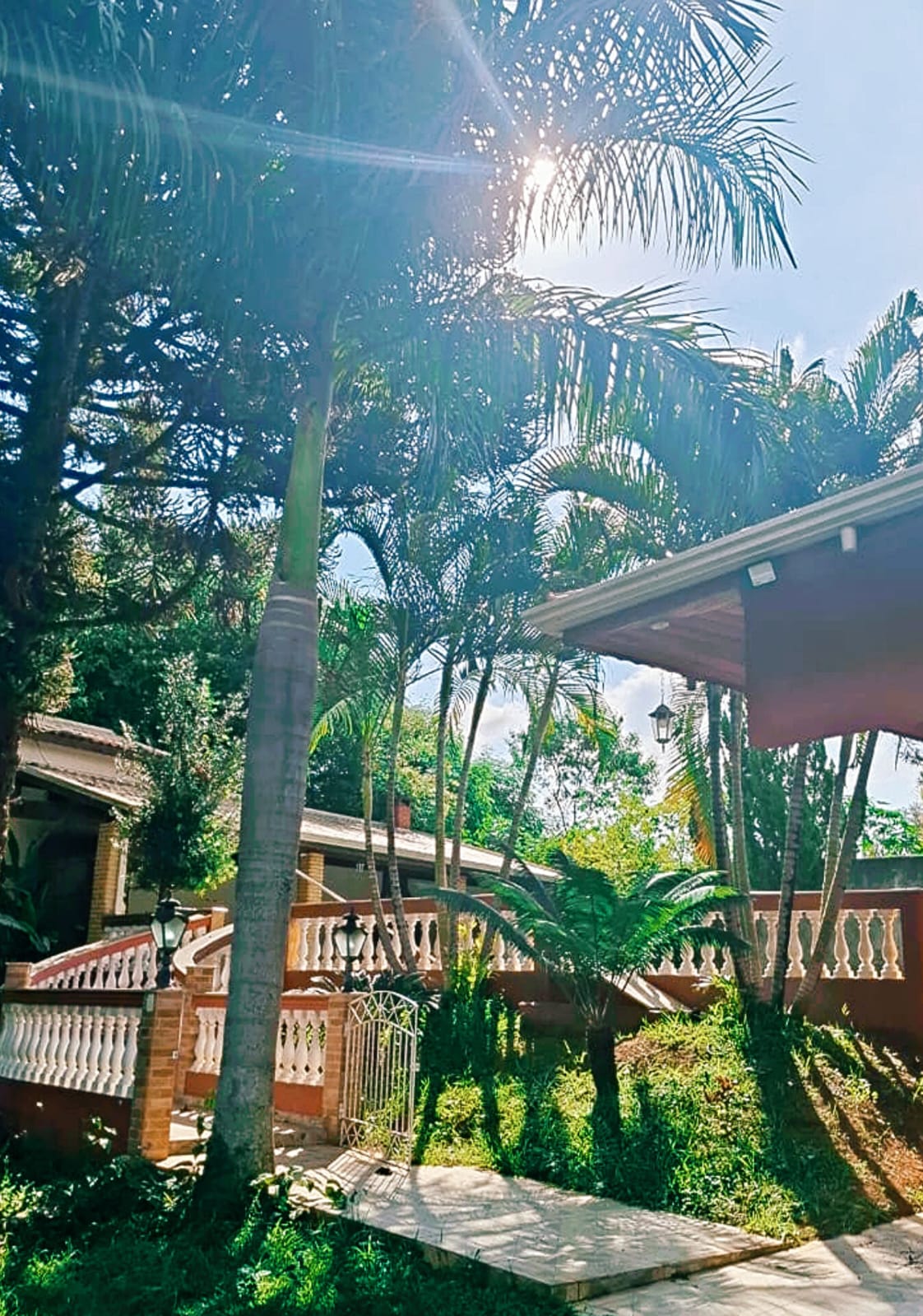 Anjos da Terra 14