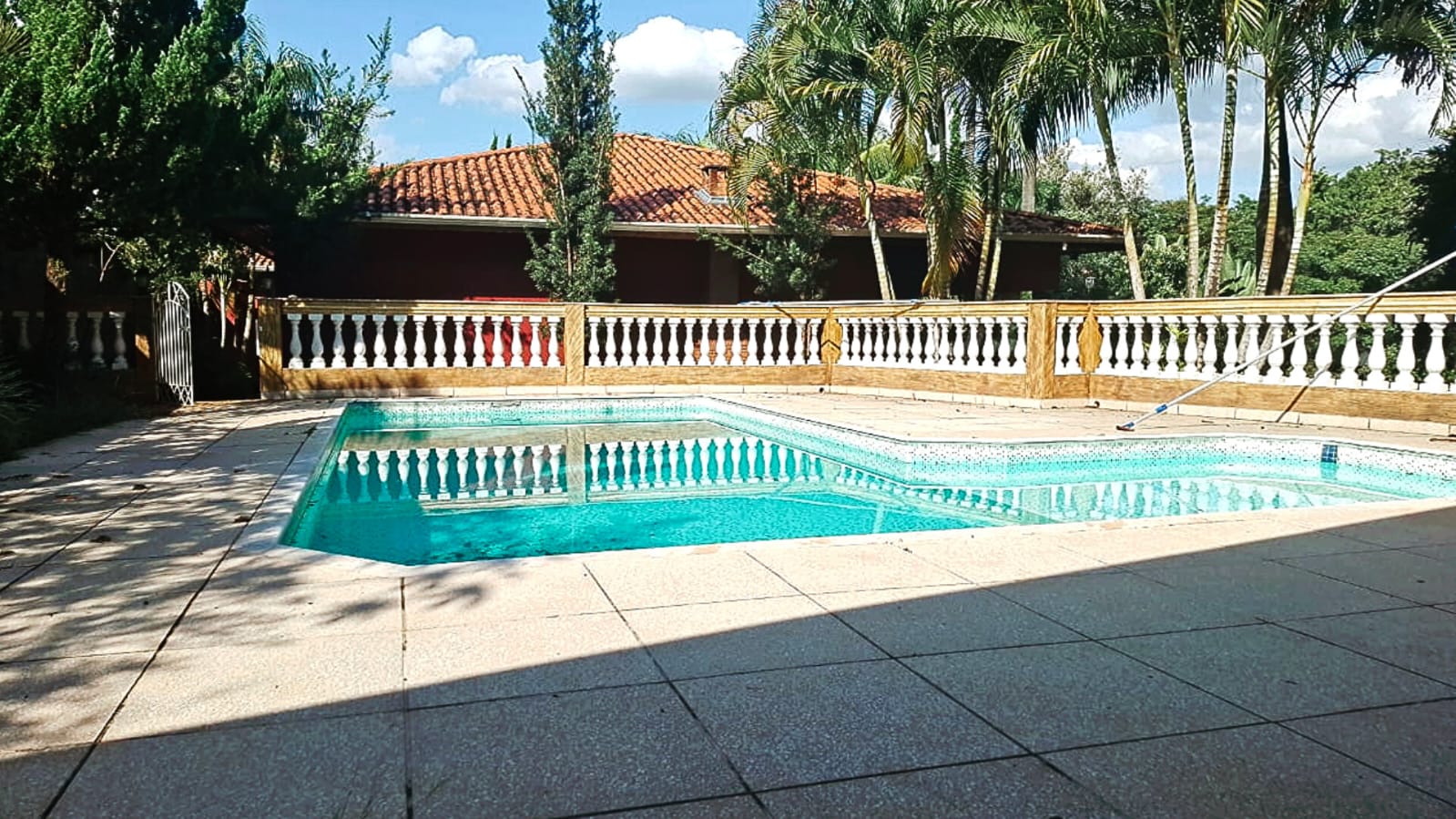 Anjos da Terra 16