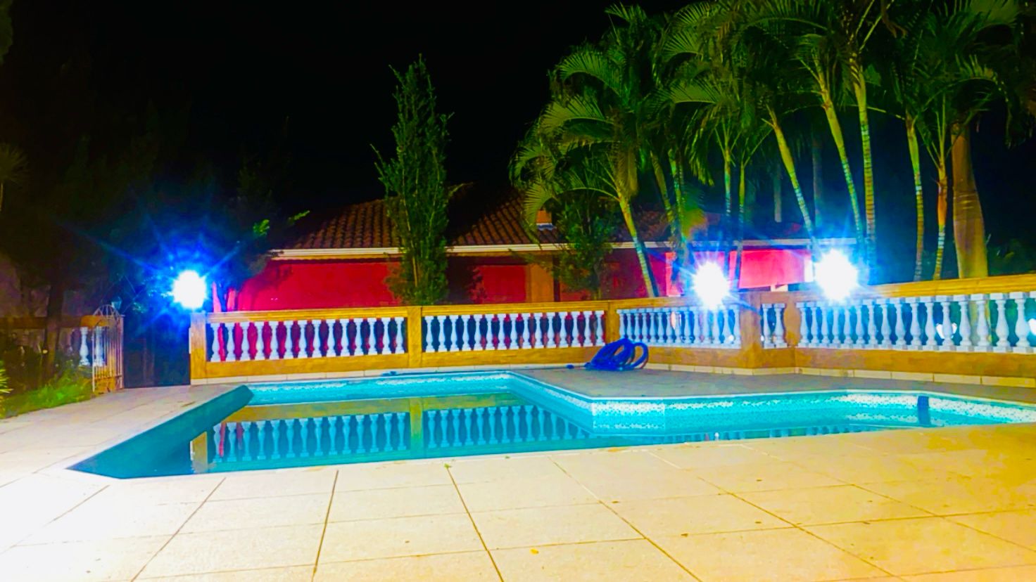 Anjos da Terra 28