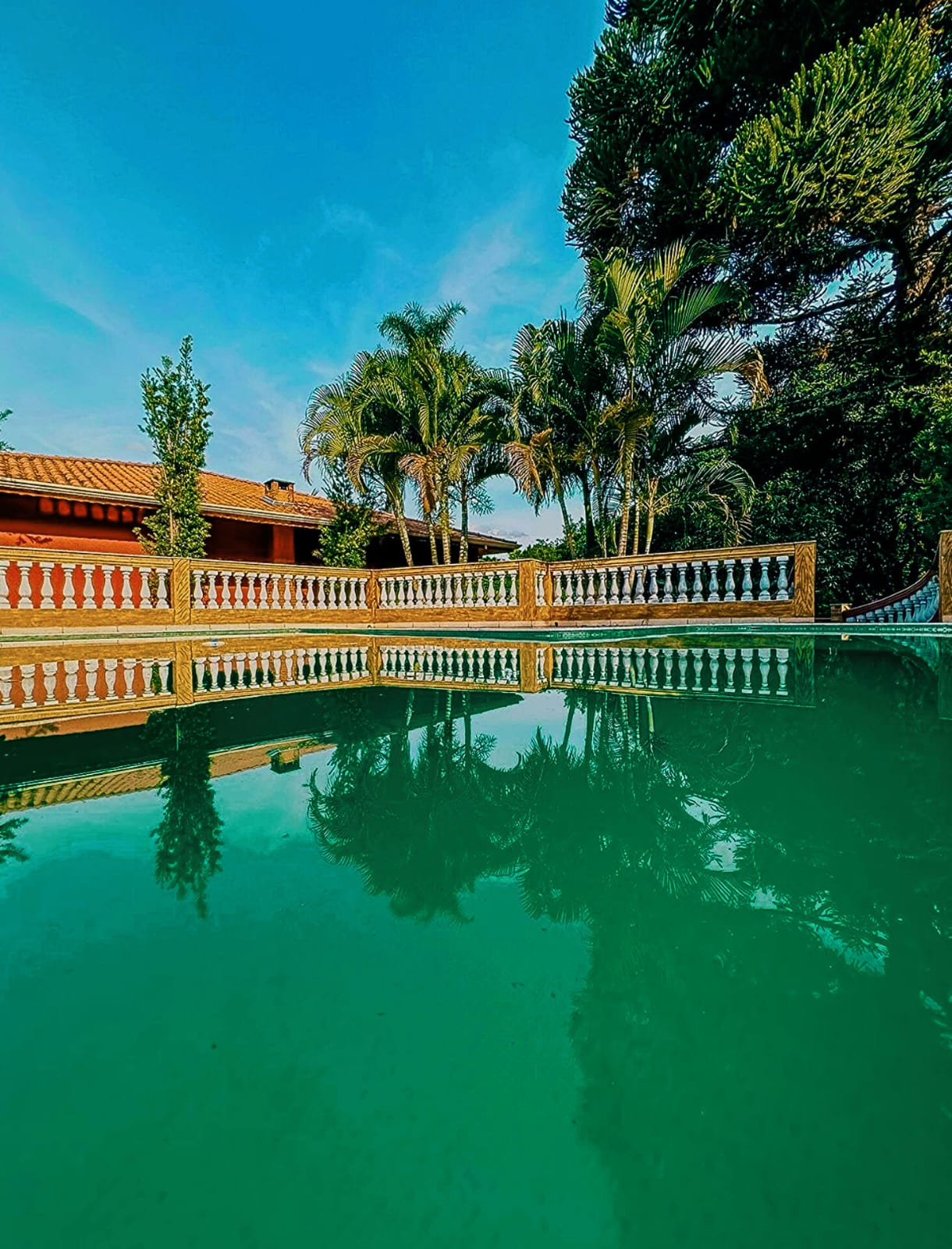 Anjos da Terra 8